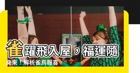 雀鳥飛入屋|【麻雀飛進家裏代表什麼】麻雀飛進家裡代表什麼？福禍吉凶大公。